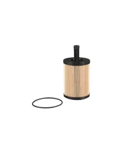 P550819 FILTER ULJA DON
