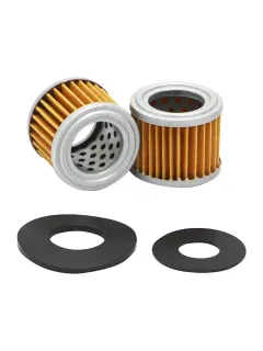 SK3683 FILTER GORIVA (C) SF